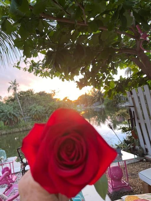 Kasa Karma On Water King Pool Paradise,Best Beaches,Restaurants, Gulfstream,Hard Rock Casino Hallandale Beach Eksteriør bilde